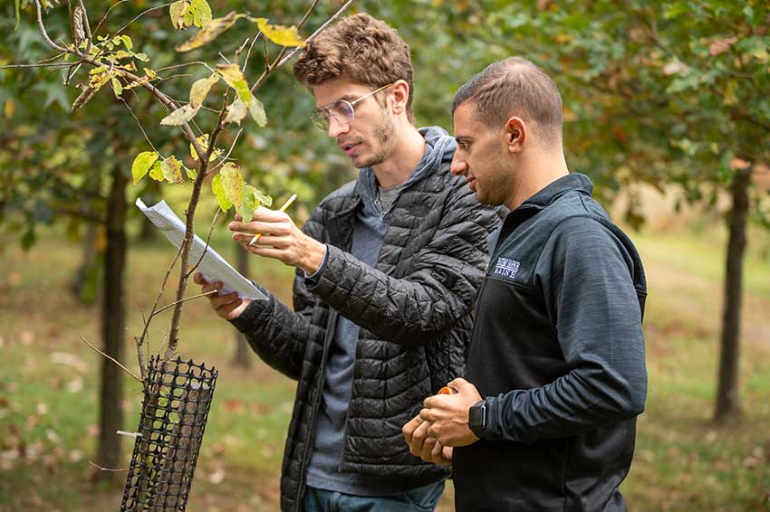 WCU Students studying in the Biota