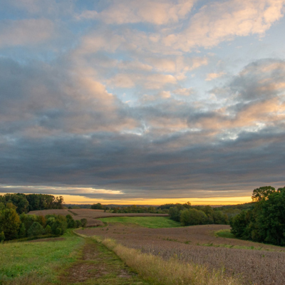 Landscape Field