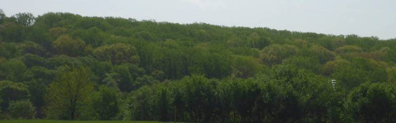 View of the Gordon Natural Area in early Spring (2017).