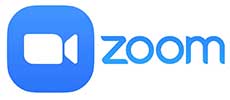 Zoom Icon