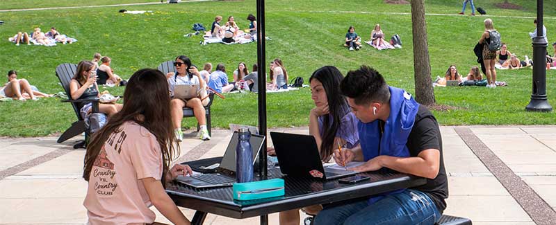 Students working outside in a group