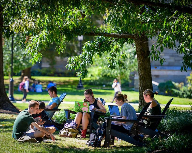 Students sitting outside under a tree while working on laptops.